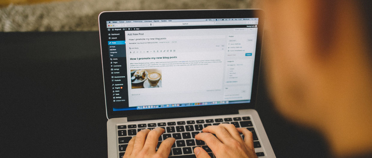 Person using blogging platform WordPress
