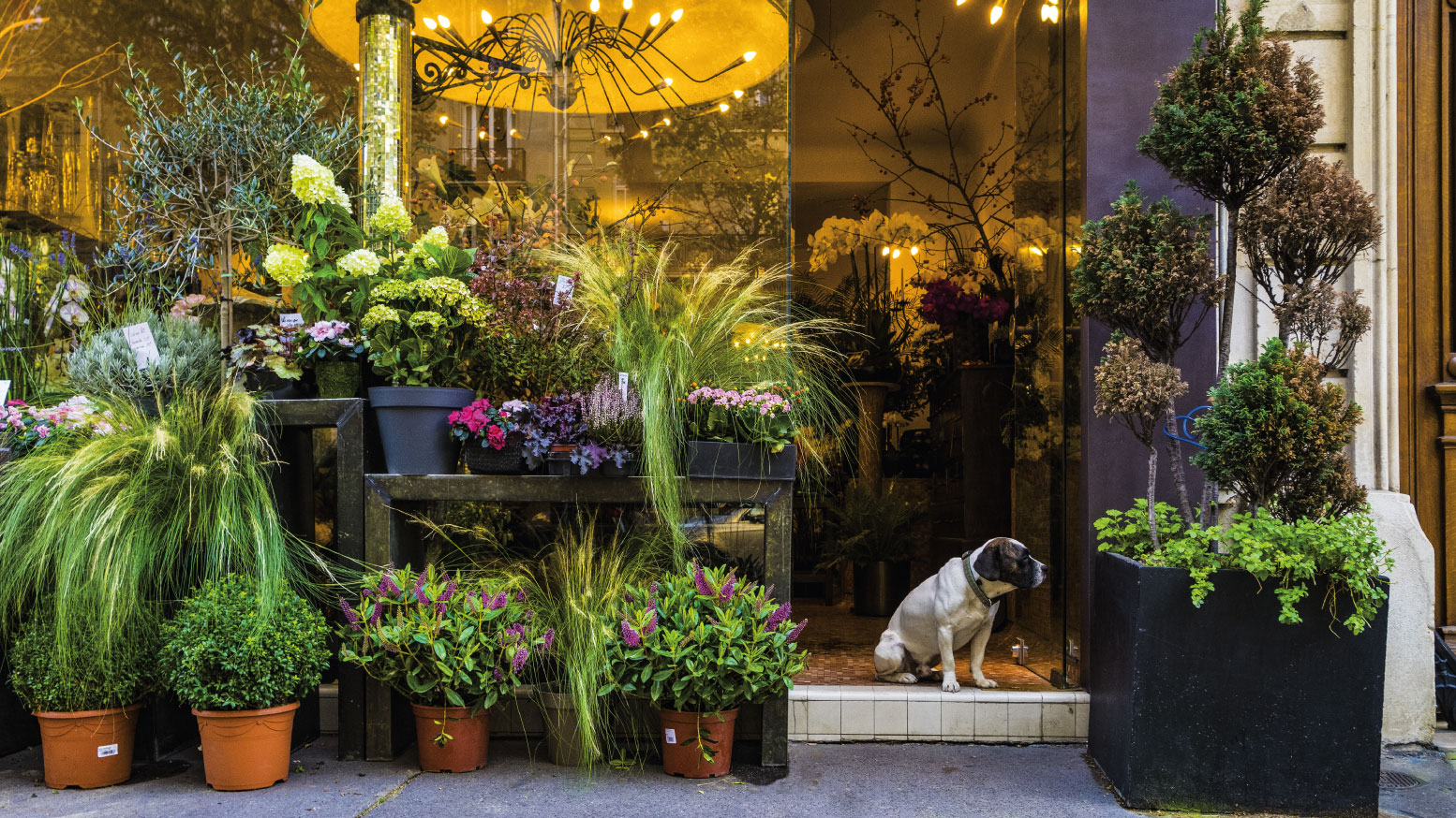 floral shop storefront